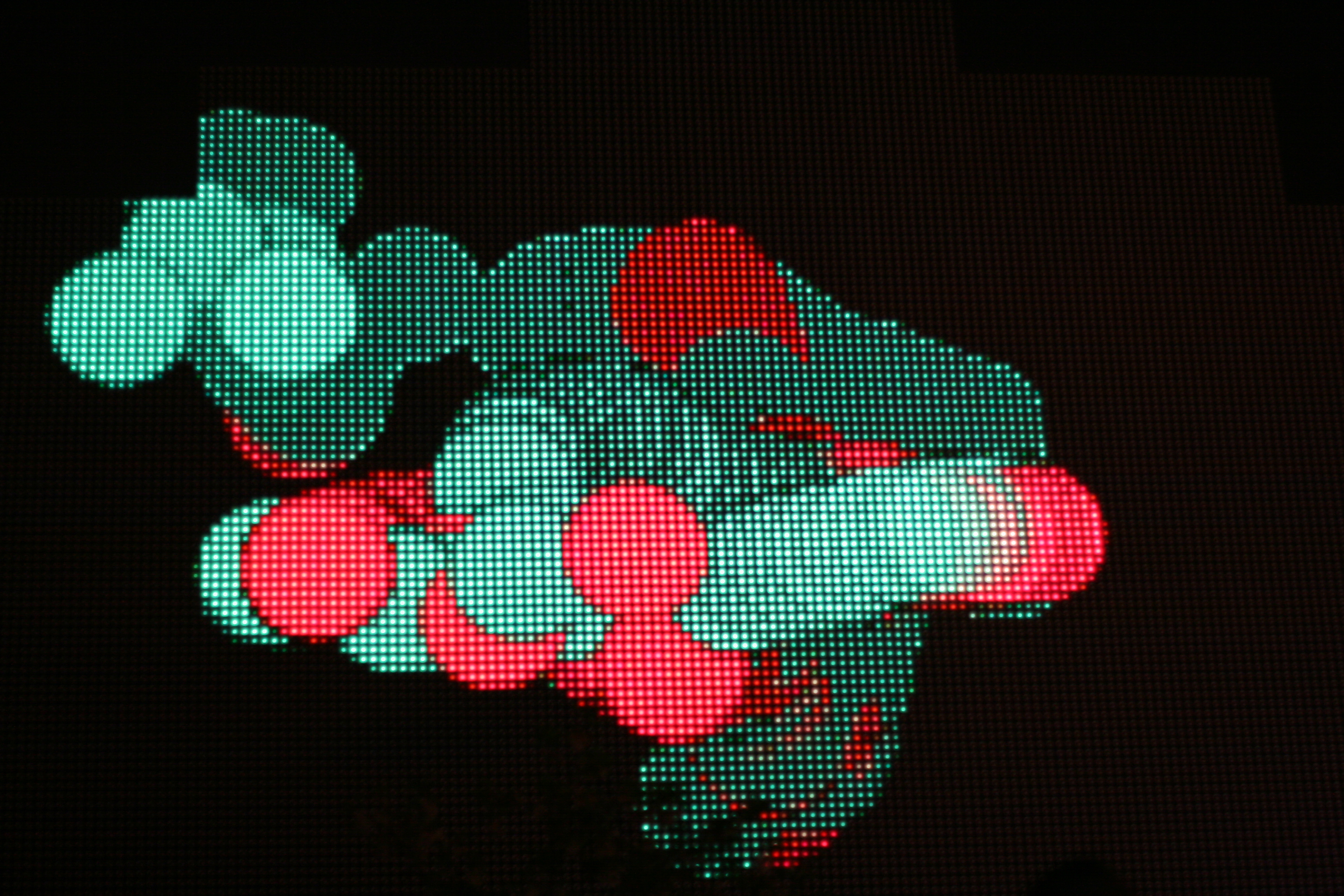 Imagen abstracta de gusano de colores