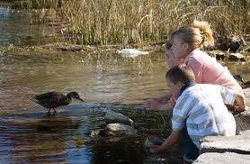 educacion ambiental