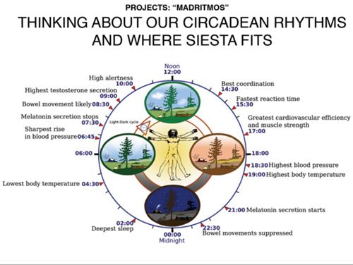 Circadiano