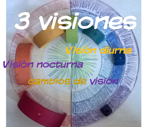 7 emociones, 3 visiones