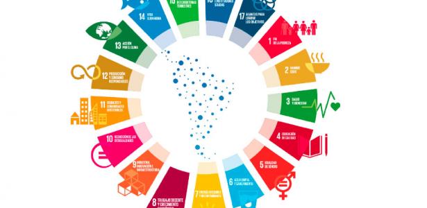 Thinking of a common future: Do you know the SDGs?