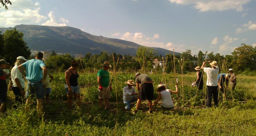 Agricultura social inclusiva: tejiendo redes entre España e Italia