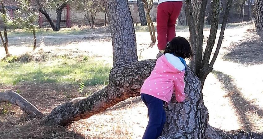 Niñas jugando en la naturaleza