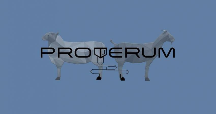 Proyecto Proterum